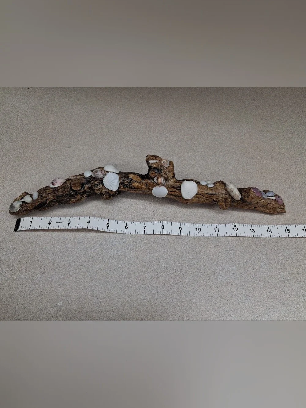 Driftwood Decor with Natural Shell Accents - White & Brown